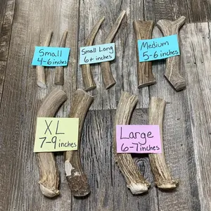 Premium Deer Antler Dog Chews! Naturally Shed Antlers! Choose from various sizes! 1(ea)~Free Shipping!