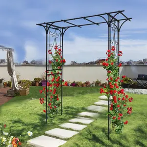 ARCH Metal Garden Arch L80.3'' x W20.47'' x H81.1'' Climbing Plants Support Rose Arch Outdoor Black