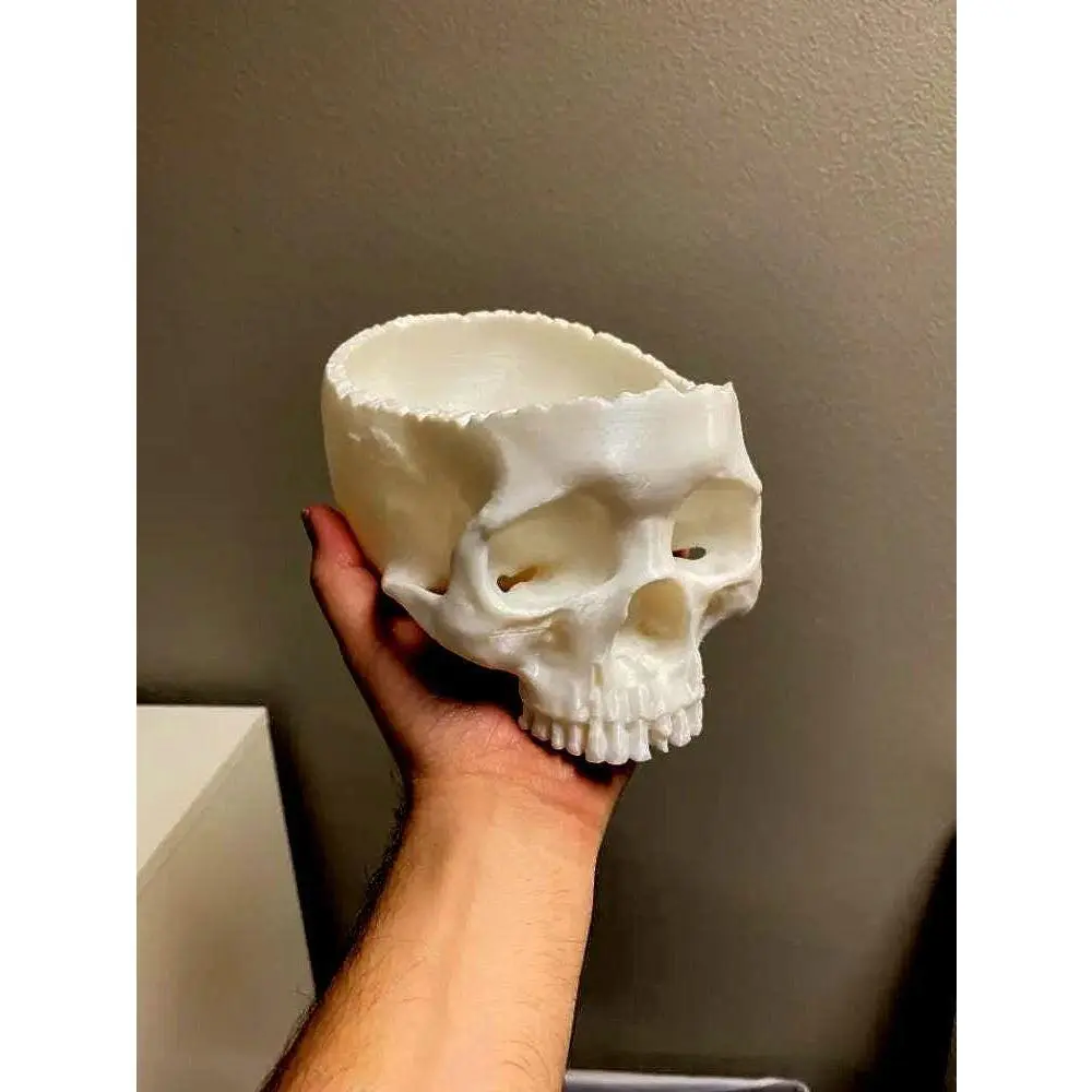 Skull Candy Bowl
