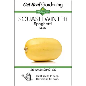 Squash - Winter - Spaghetti Seeds