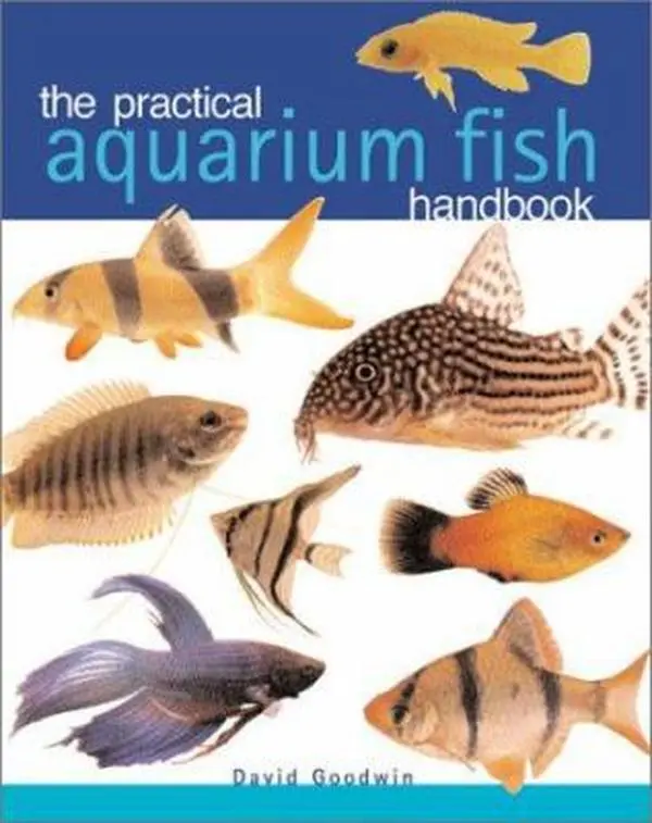 USED-The Practical Aquarium Fish Handbook by David Goodwin (Paperback)