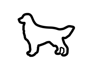 Golden Retriever Cookie Cutter - Dog Breed Cookies - Dog Treat Cutter - Irish Setter Cupcake Topper - Dog Cookie Cutter