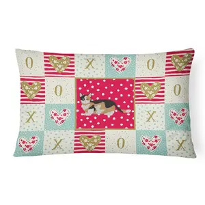 Carolines Treasures  12 x 3 x 16 in. Munchkin Cat Love Canvas Fabric Decorative Pillow
