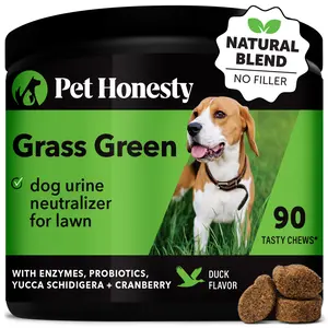 Pet Honesty Grass Green Dog Urine Neutralizer for Lawn, Tasty Dog Treat Chews, Help Prevent Dead Yellow and Brown Grass Spots - Duck 90 Tasty Chews