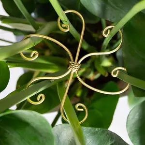 5 count Monstera  Stem Support Hook - 6.5 * 6.5IN Durable Metal Stem Stabilizer for Monstera  and Fishbone Cactus - Gentle Protection Leaf Holder - Easy Installation - 5 count Set