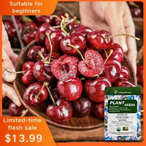 Cherry Seeds for Garden Planting, Fruit  Seeds Suitable for Outdoor Yards and Home Gardens, Potted or Ground Growing