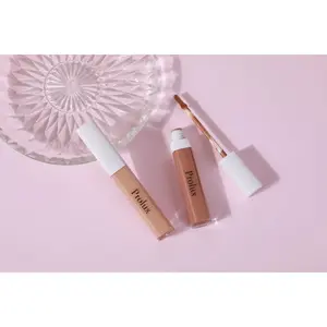 Concealer | Concealer For Dark Circles