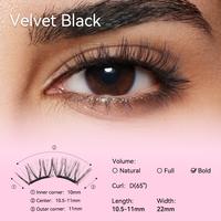 Disney  No.18  Velvet Black