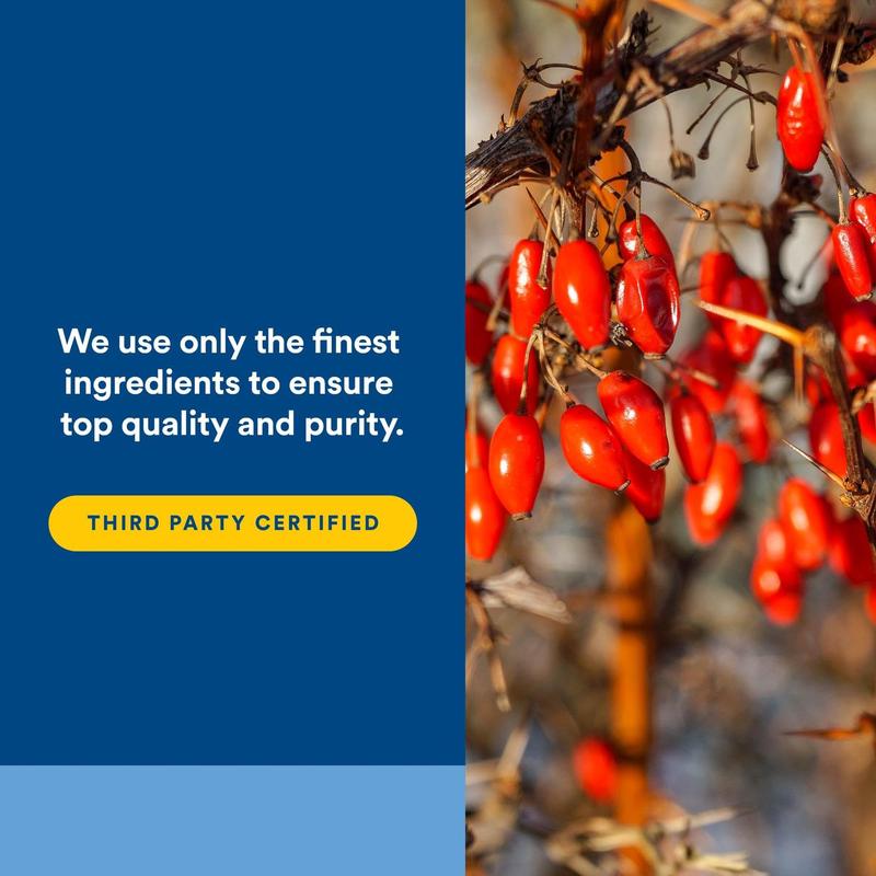 Natural Factors WellBetX Berberine 1,000 mg