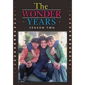 USED-Wonder Years Season 2 (4DVD) (DVD)