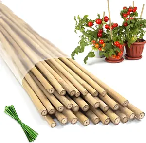 Plant Stakes20Pcs Bamboo Stakes,18 Inches Natural Bamboo Plant Support Stakes,Bamboo Stakes for Indoor and Outdoor Plants Tomatoes Beans Flowers Potted Plants Climbing Support