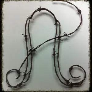Custom Barbed Wire Art Monogram A Unique Handcrafted Design for Home Decor