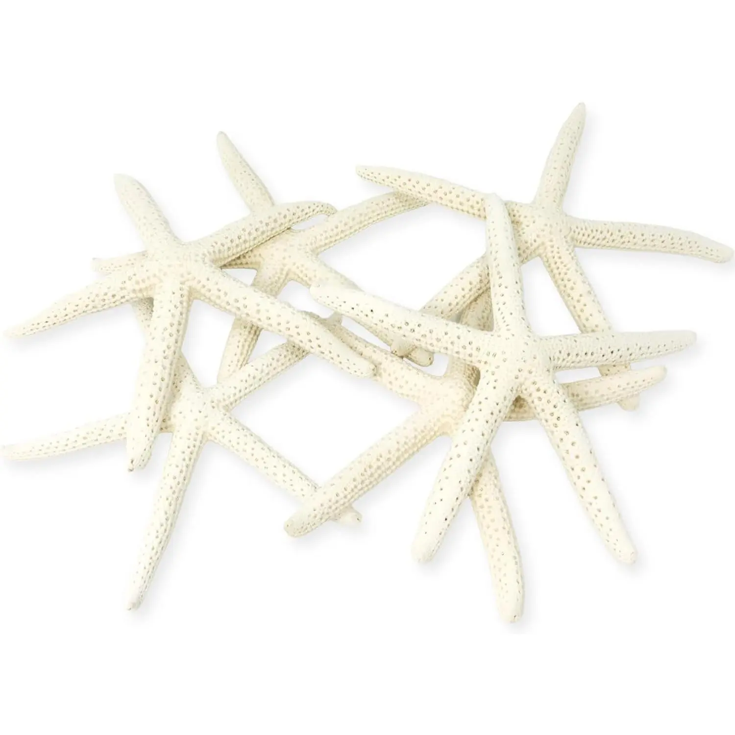 6pk Real 3-4" White Sea Stars Star Fish for Craft Beach Wedding Coastal Party Decorations Seashell Starfish Decor