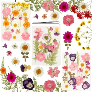 63 pieces of dried flowers, paired with tweezers, DIY flower decoration, used for candles, resin, jewelry, nail art, pendants, and handicraft decoration