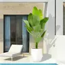 Elegant Artificial Bird of Paradise Tree - 4ft 5ft 6ft 7ft Tropical Plant with 10 Lifelike Silk Leaves, Ideal for Home, Office, Patio, and Living Room Decor Decorative Nature