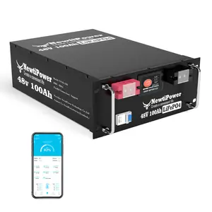 48V 100Ah LiFePO4 Lithium Battery 200A BMS,NewtiPower 10000+ Deep Cycle Lithium Iron Phosphate Battery Great For Winter Power Shortage, RV, Marine and Off Grid Applications