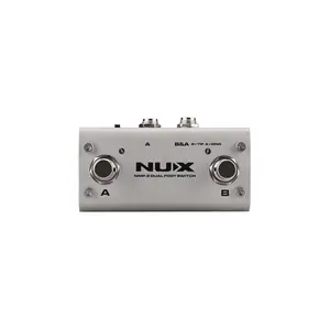 NMP-2
