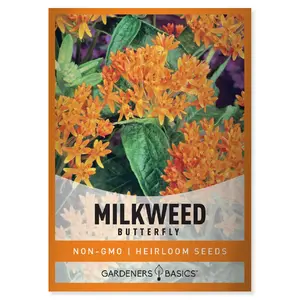 Butterfly Milkweed Seeds Milk Weed Plant Seeds