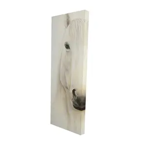 Begin Home Decor 2080-4816-AN352 16 x 48 in. Minimalist Horse Canvas - Smiling Horse Wall Art Decor