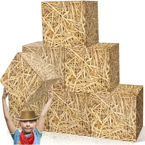 PrimPick 6 PCS Hay Bales Paper Boxes Decor Western Cowboy Party Decor Box Farm Hay Photo Booth Props Rustic Farmhouse Cowboy Party Supplies