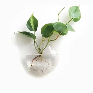 SAN Tread Wall Hanging Glass Terrarium Planter, Oblate Flower Vase for Hydroponic Plants, Bathroom, Home Office and Living Room Wall Decor
