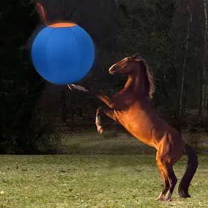 Pet Wrangler Inflatable Ball Toys, A Full Set Of Polo Dog Balls, Golden Retrievers, Bite-resistant Balls, Boring Balls, Teasing Shiba Kiki, Pet Training Balls, Dog Balls, Dog Wranglers, Australian Shepherd Wrangler Balls (m Yards -21.7 Inches)