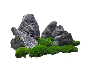Fish Tank Aquarium, Japanese Black Seiryu Stone for Aquascapers Aquarium Planted Fish Tank Natural Stone