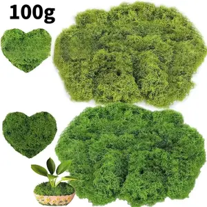 100g Long-Lasting Protective Moss Set, Artificial Moss for Plant Decoration and Wedding Arrangements, Durable and Versatile