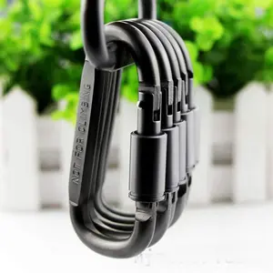 Locking Carabiner