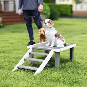 Wooden Dog Training Place Board