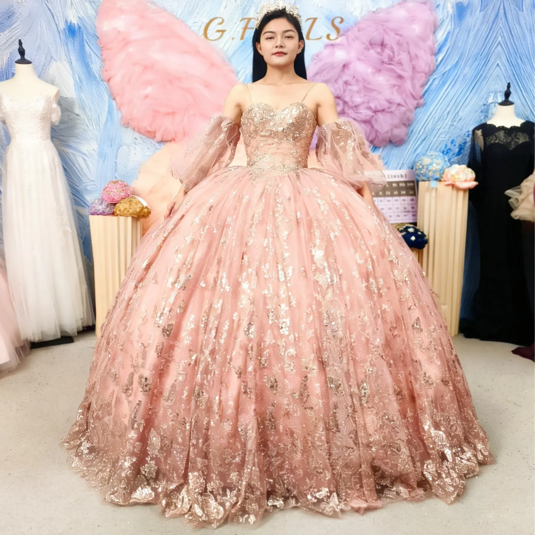 NO.6 Women's Quinceanera Ball Gown - Formal Dresses for Women, Special Occasion Wear, Formal Wear, Full Length, Lace, Party, Quinceanera Dress, All Seasons, Ball Gown Cut, Tulle Overlay, Not Applicable