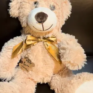 BEARY SECRETS Hide to hide medication, cannabis, etc. in plain sight/aroma (Glass)(Security)