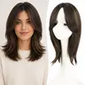 12inch Clip in Synthetic Hair Toppers for Women with Thinning Hair Layered Natural Look Volume Booster Hairpiece for Coverage Breathable Lace Front Base, No-Glue No-Sew Realistic Illusion Hairline for SummerWins