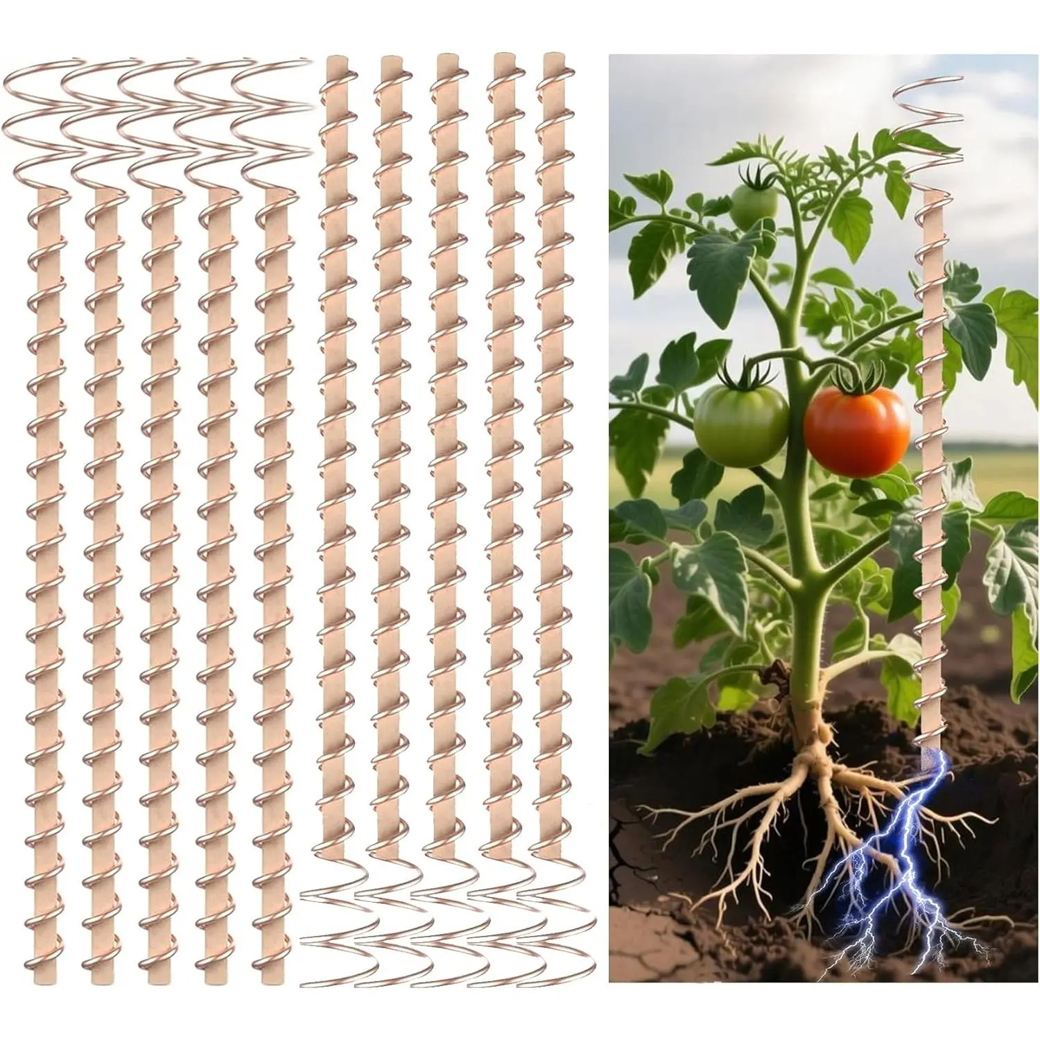 10-Pack 12-in Electroculture Copper Coil Plant Stakes, Eco-Friendly Garden Support Tools, Harnesses Earth’s Natural Energy, Enhances Plant Vitality, Accelerates High-Yield Growth for Vegetable Gardens, Raised Beds