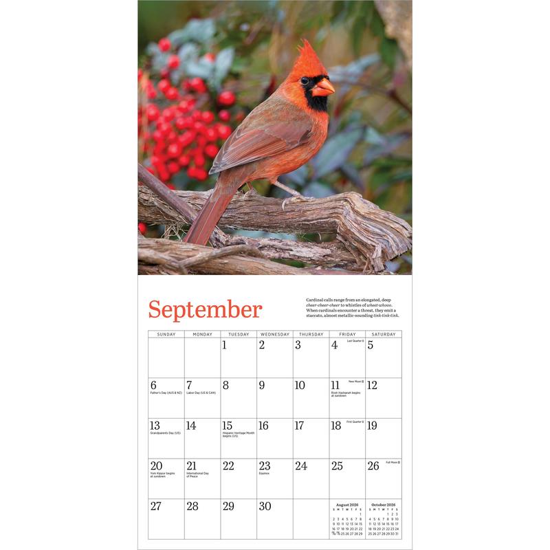 Audubon Cardinals Mini Wall Calendar 2026