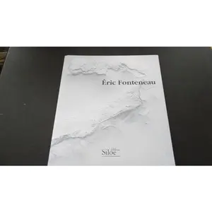 USED-Eric Fonteneau (French Edition) by Fonteneau Eric (Paperback)