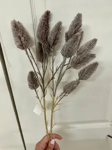 28 Inch Coffee Mini Plume Spray
