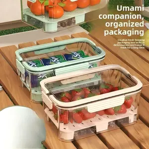 Portable Insulated Cooler Bag & Food Container, Double-Layer Large Capacity Refrigerator-Safe Box, Airtight Storage for Vegetables, Fruits and Bento, Perfect for Outdoor Picnics