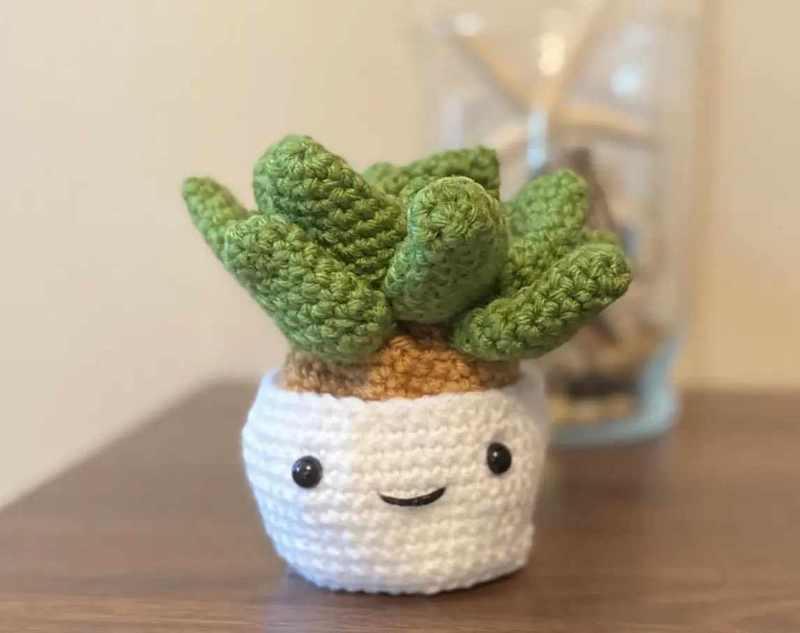 DIY Crochet Succulent Plant