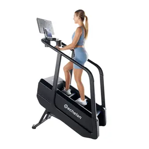 Echelon Summit Stairmill Home