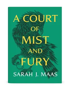 A Court of Mist and Fury by Sarah J Maas Fantasy Romance Novel Young Adult Magic Adventure Book