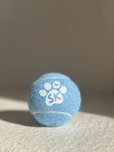Squeaky Tennis Ball - Bluey Blue