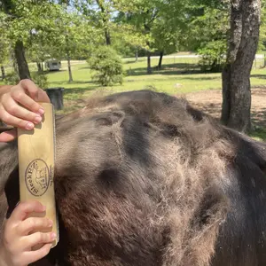 SleekEZ Horse Brush for Shedding & Grooming, Deshedding Tool for Short & Long Haired Horses