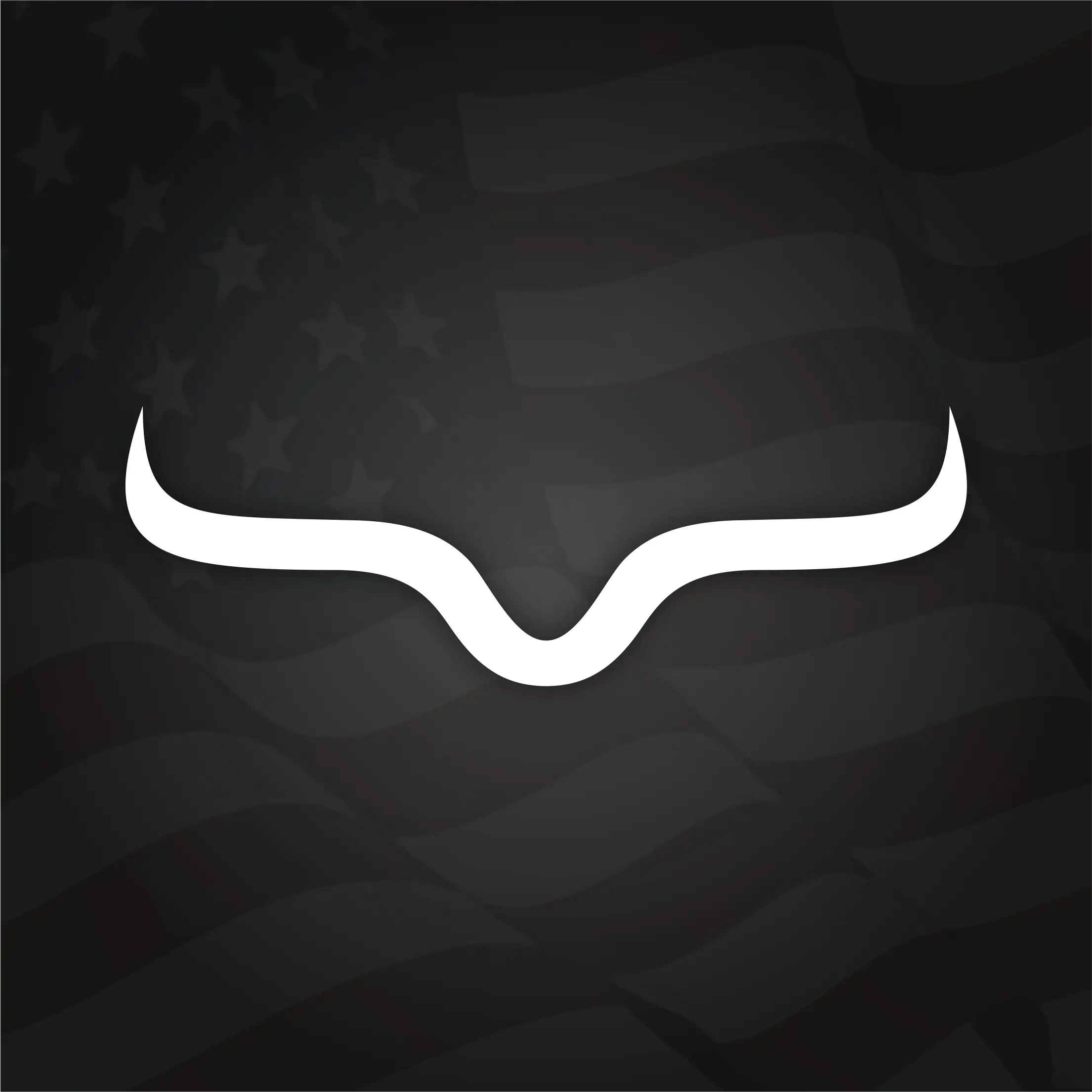 USA edition Longhorn Decal