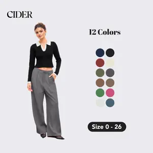 Cider High Waist Pleated Wide Leg Pants with Pocket, Work Office Trousers for Women, Professional Wide Leg Palazzo Pants, Ladies Stretch Waist Business Casual Bottoms, Downtown Girl Workwear, Summer Elastic Waist Trousers
