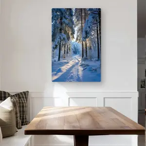 MWW C1MP24369W0GBJ 24 x 36 in. Snowy Path - Black Metal Print Wall Art for Home Decor - Unique Art