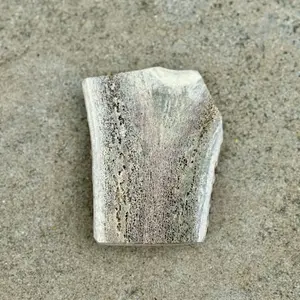 XXL Split - Elk Antler Dog Chew