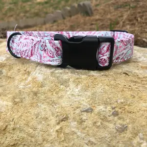 Pink Paisley Dog Collar