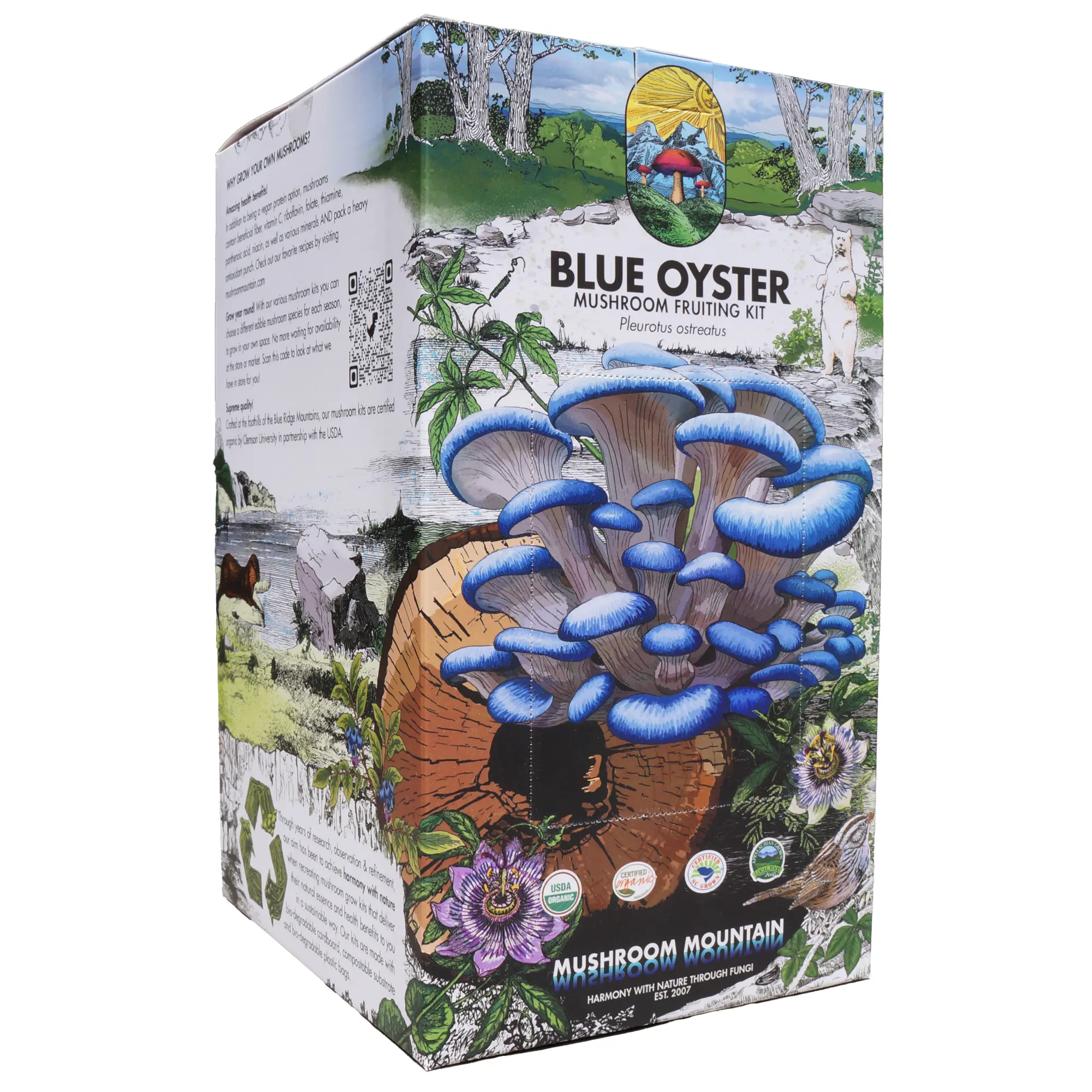 Oyster Mushroom Fruiting Kit - (Pleurotus spp.)
