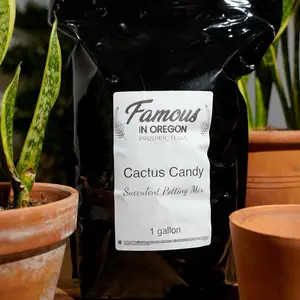 Cactus Candy
